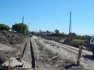 Los canarios 3