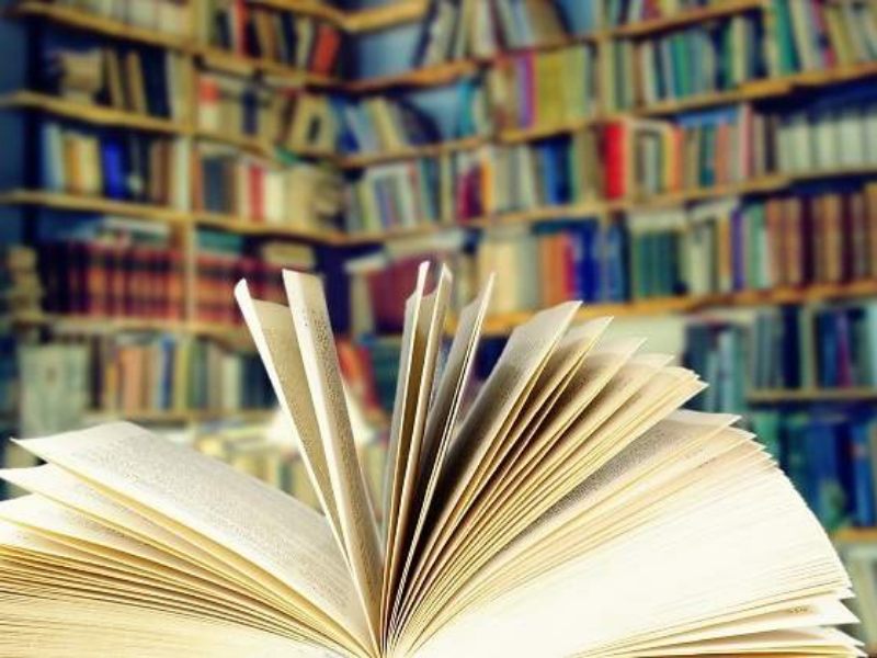 Biblioteca-WEb