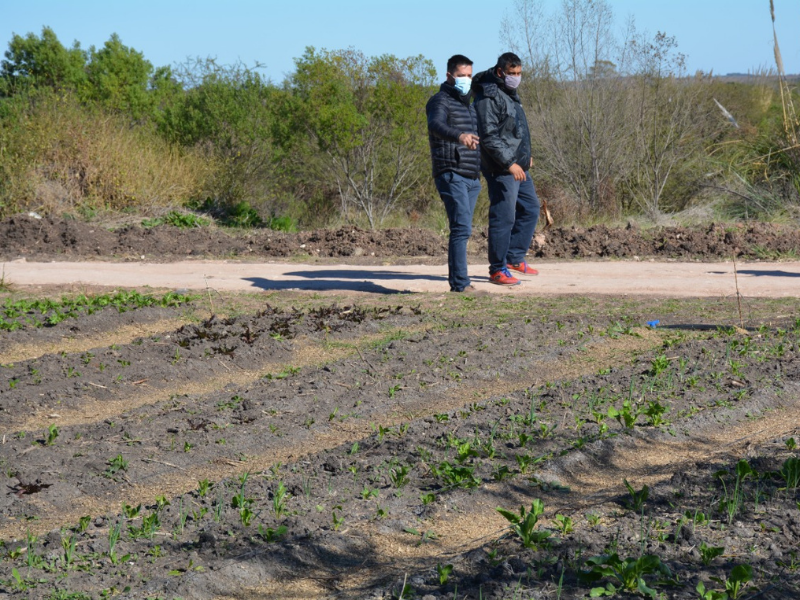 La-huerta