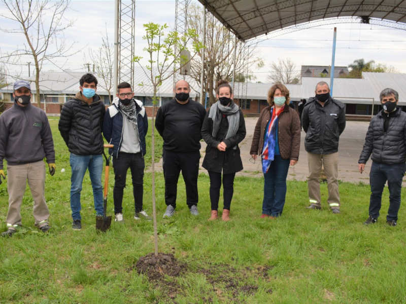 Plantacion-arbol