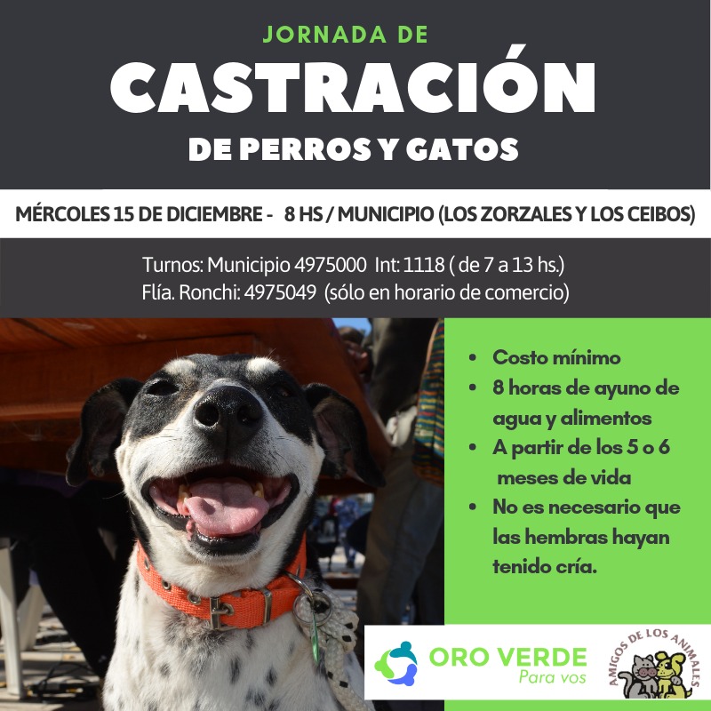 castracion-15-de-diciembre