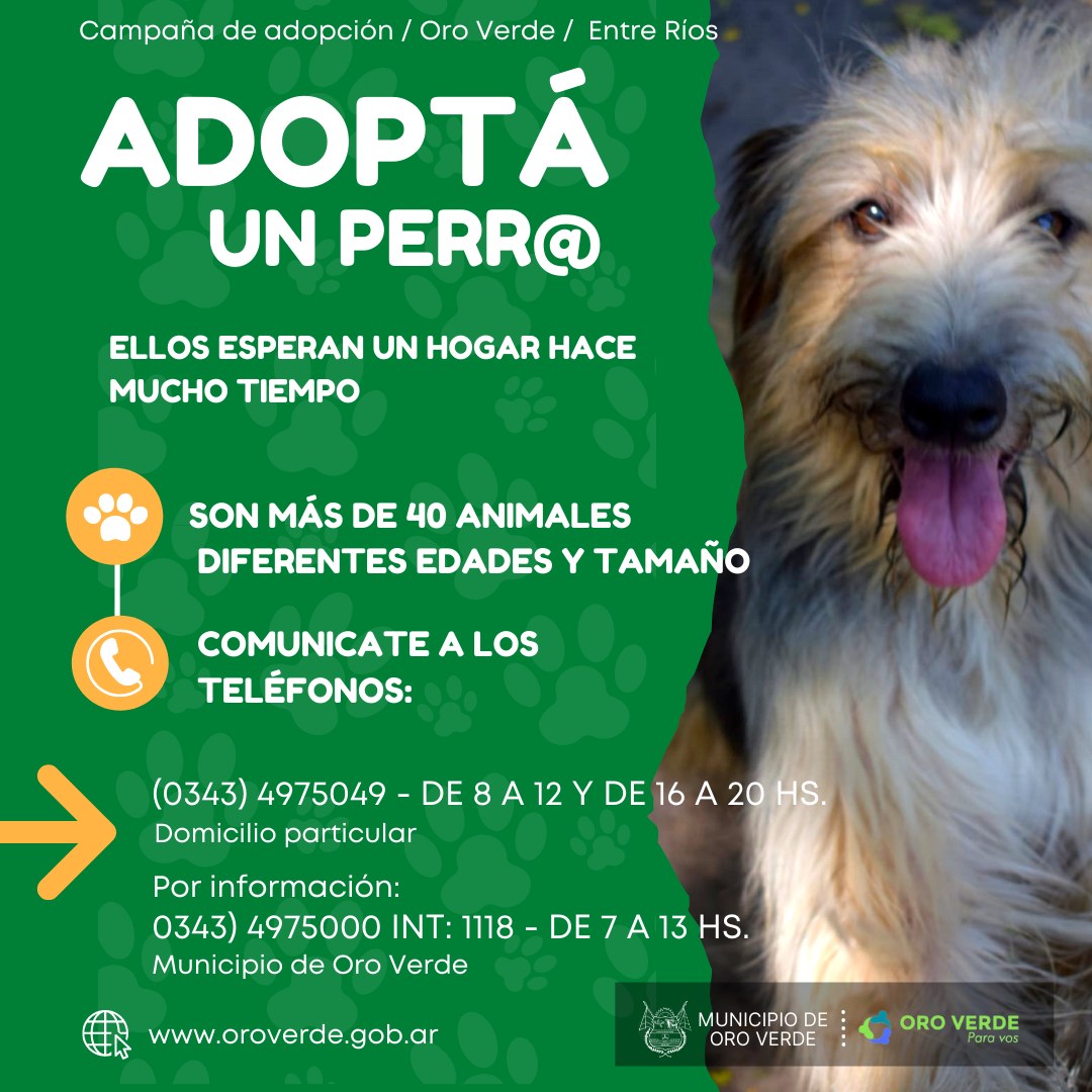 adopción responsable