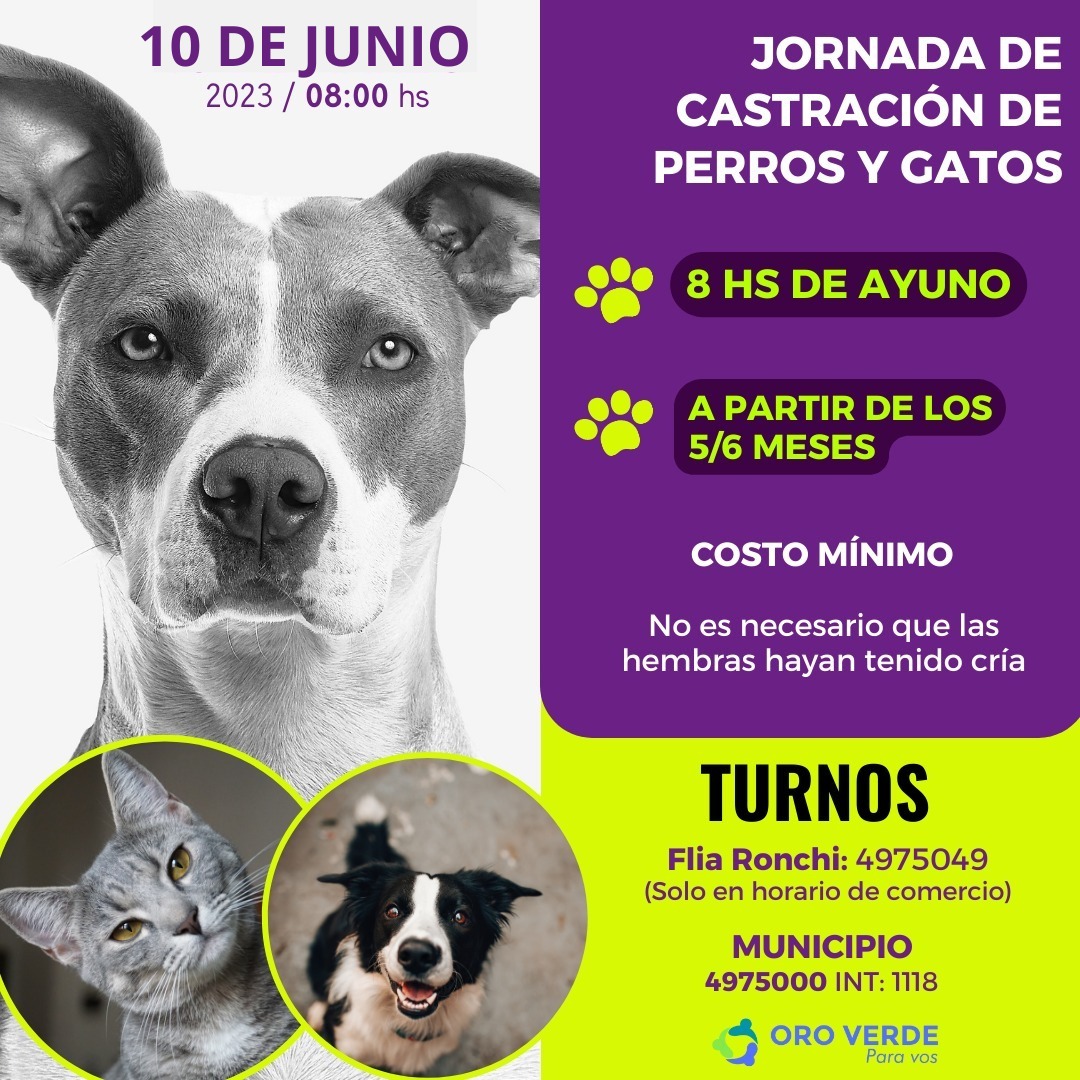 Castracion-1
