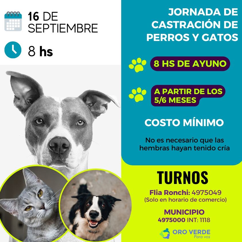 Castracion