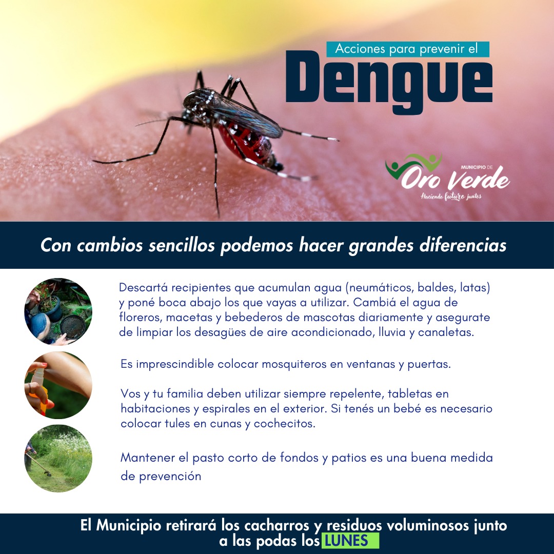 P. de dengue 1