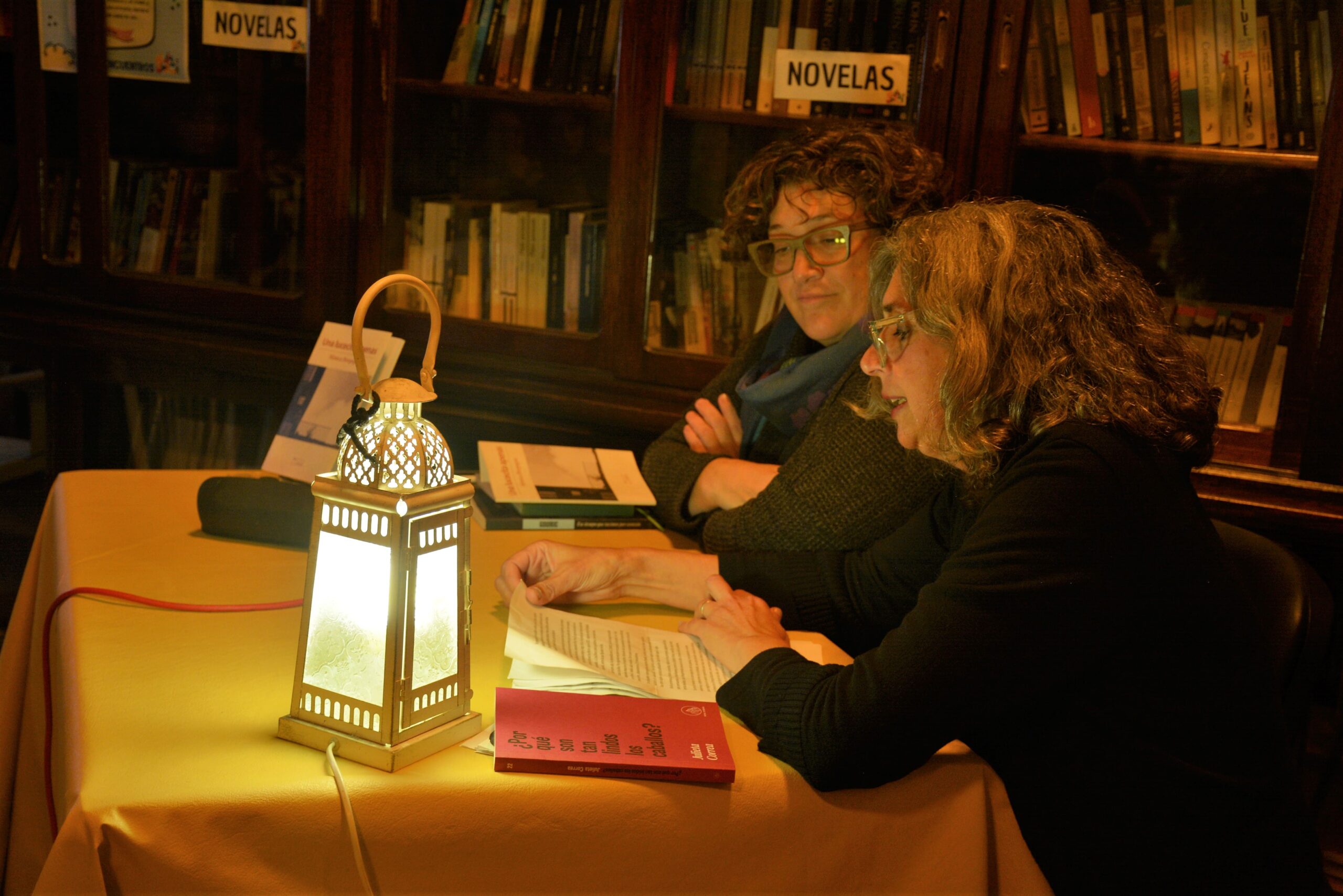 Mónica Borgogno presentó su libro de poesías, “Una lucecita apenas”, en la biblioteca Popular Encuentros