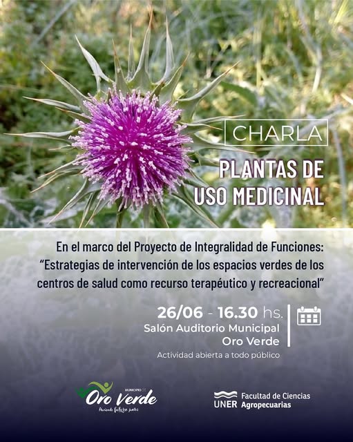 charla – plantas medicinales