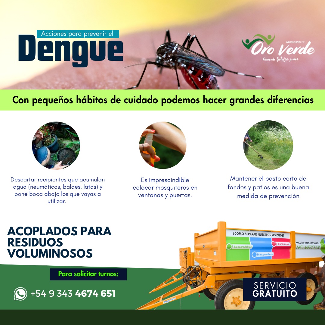 Recomendaciones para la prevención del dengue