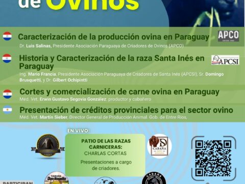 Jornada Internacional de Ovinos