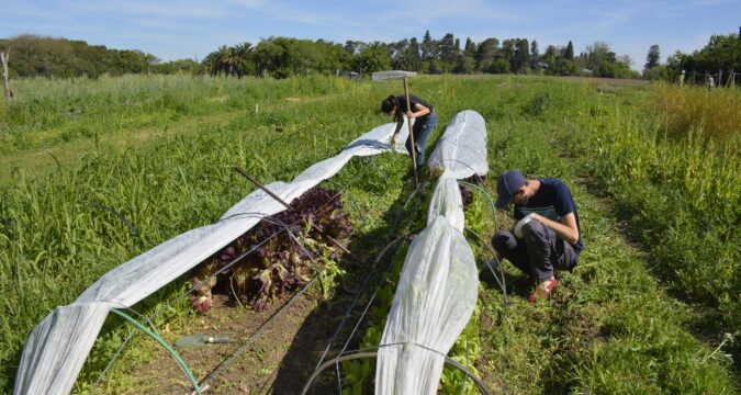 Taller de Huerta municipal: un espacio de aprendizaje y producción saludable