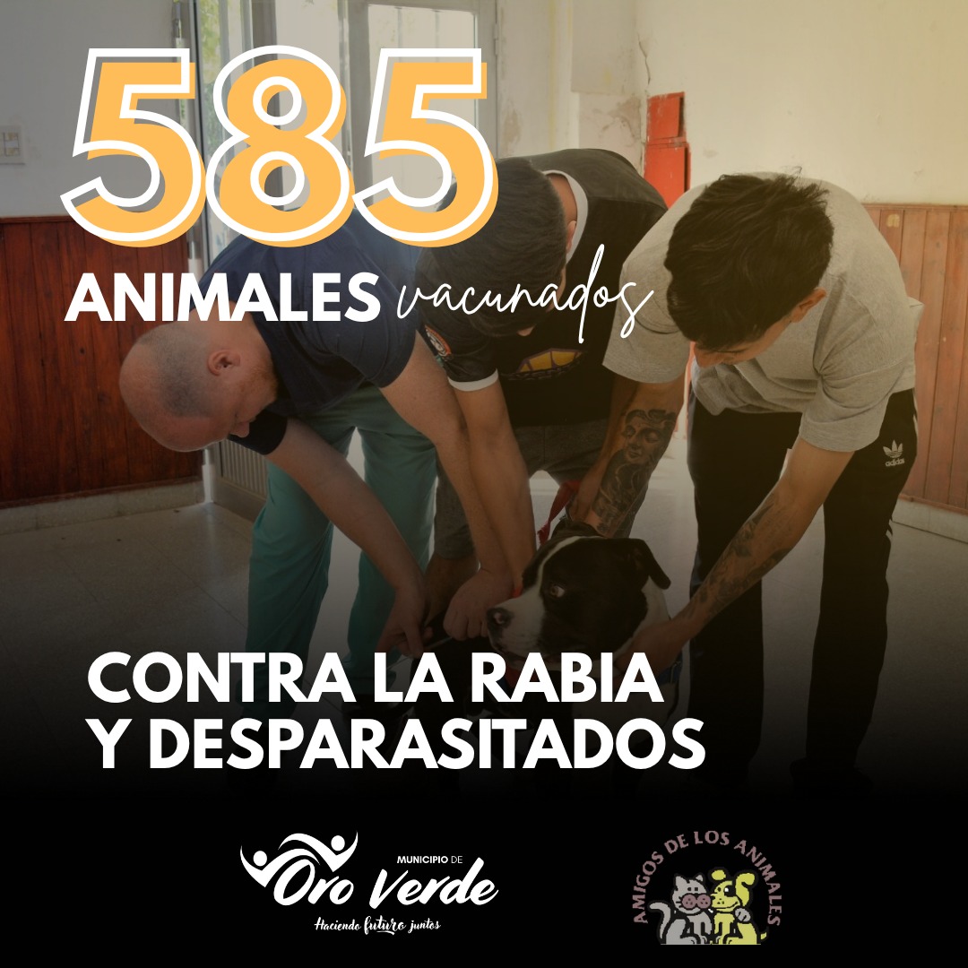 La campaña contra la rabia en Oro Verde vacunó y desparasitó 585 animales
