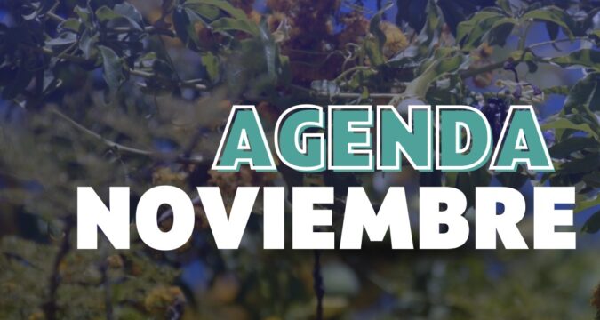 Agenda de actividades del mes