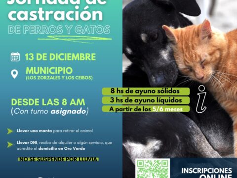 Última jornada de castración de perros y gatos del año