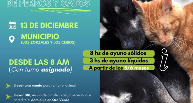 Última jornada de castración de perros y gatos del año