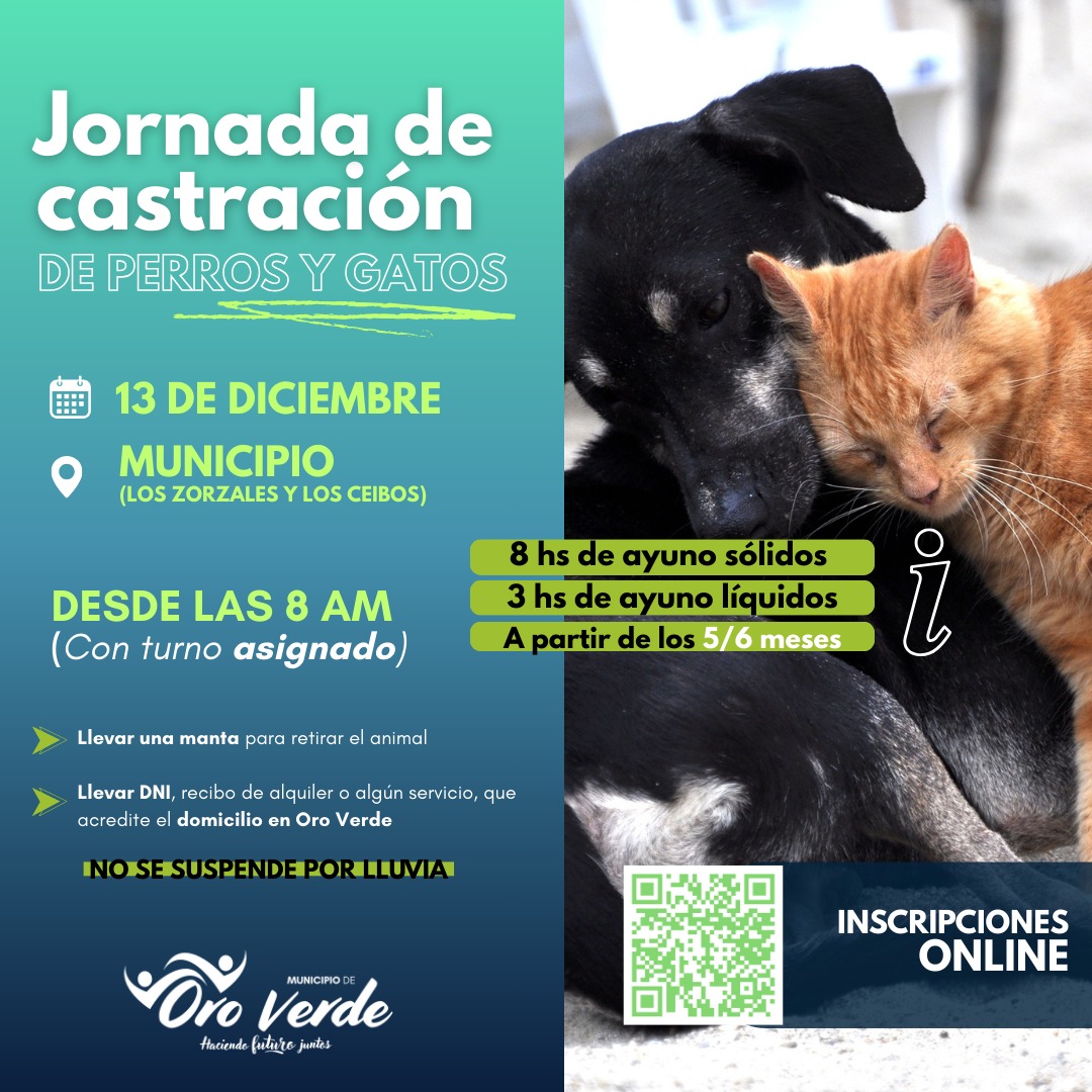 Última jornada de castración de perros y gatos del año
