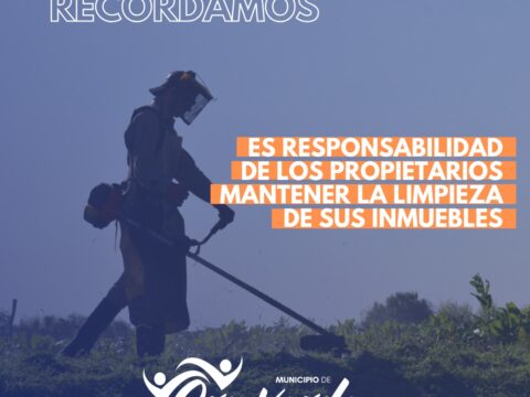 El Municipio recuerda que es responsabilidad de los propietarios de terrenos mantener la limpieza de sus inmuebles