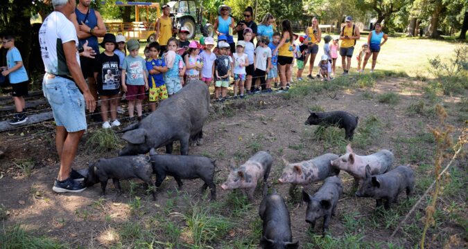 Colonia de vacaciones: el grupo de 4 y 5 años visitó las instalaciones de la Escuela Alberdi