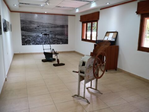 Muestra permanente “Un viaje al Oro Verde de Ayer” en el museo Conrado Hasenauer