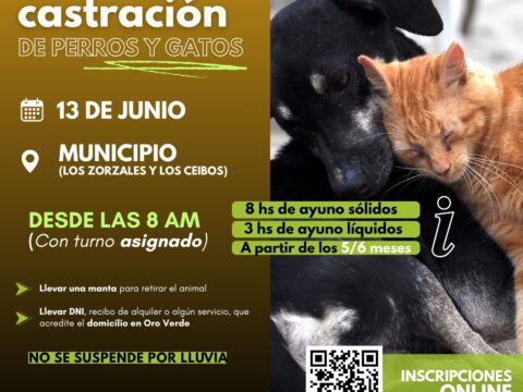 Castración de animales domésticos el 13 de junio
