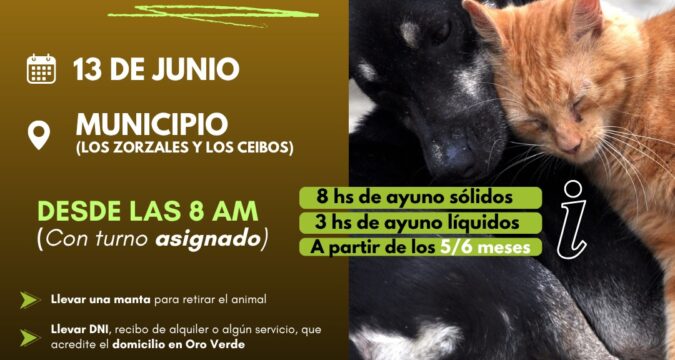 Castración de animales domésticos el 13 de junio