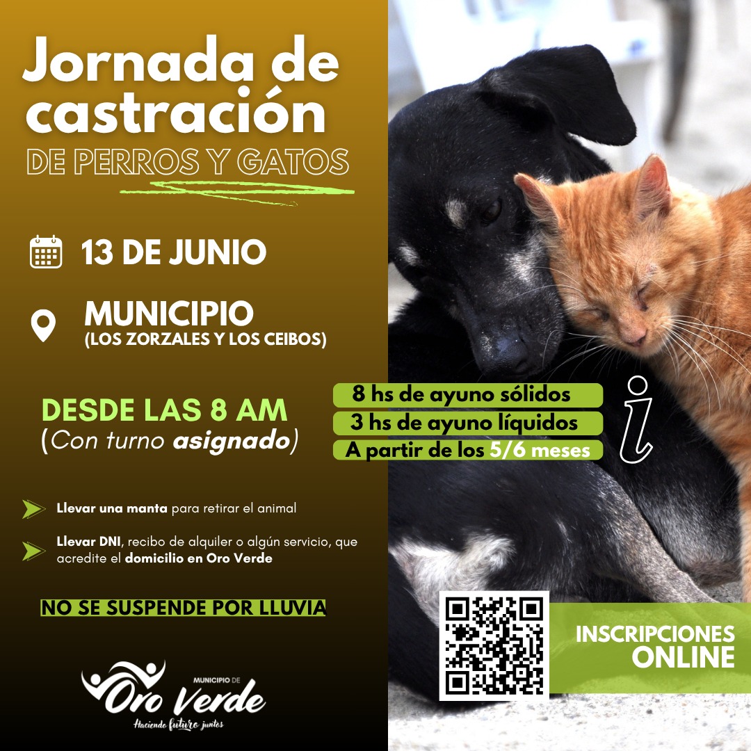 Castración de animales domésticos el 13 de junio