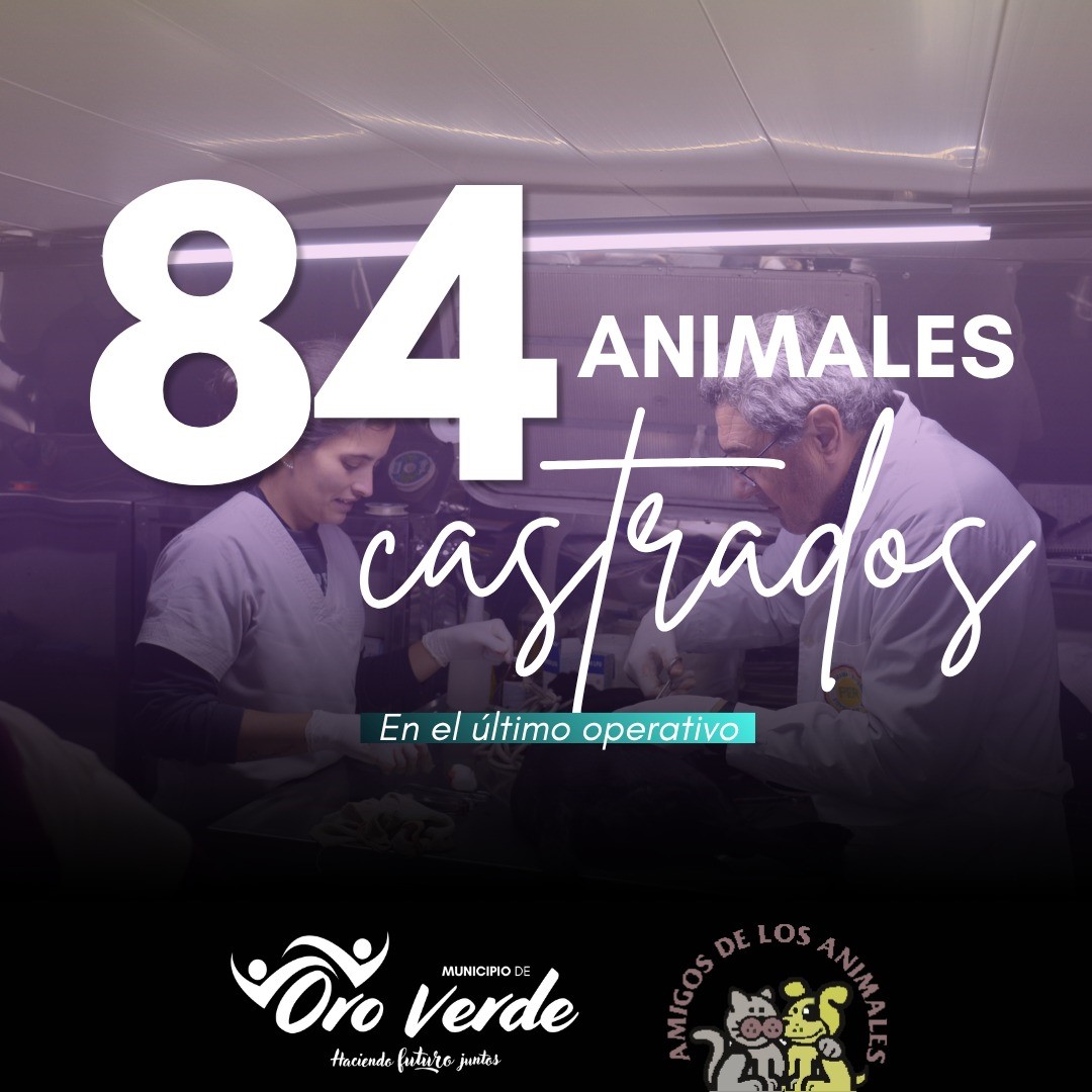 Más de 80 animales fueron castrados en el operativo del sábado pasado