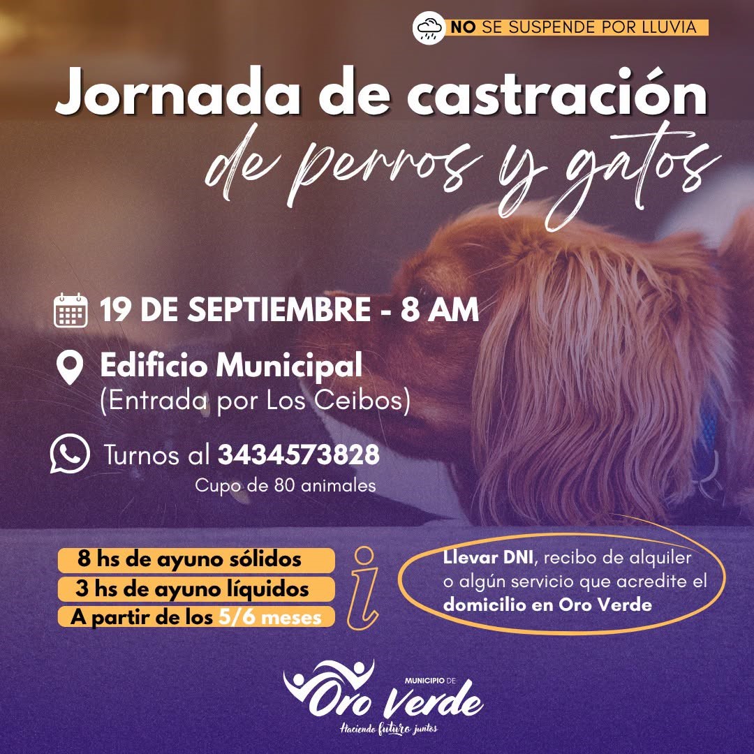 Castración de animales domésticos este 19 de septiembre: el turno se solicitará vía Whatsapp