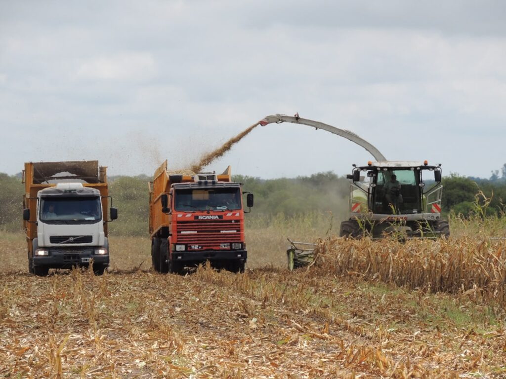 La provincia puso en vigencia el nuevo régimen ambiental para la actividad productiva de Entre Ríos