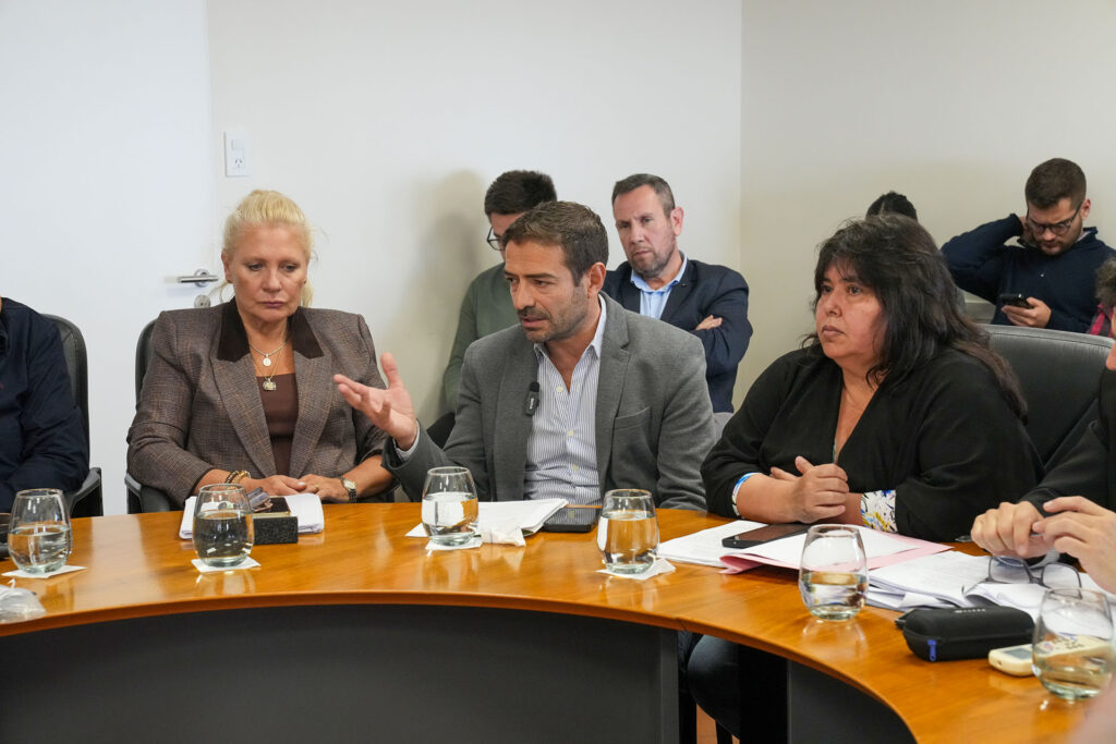 Blanzaco expuso ante el Senado el trabajo que desarrolla la provincia en materia de salud mental