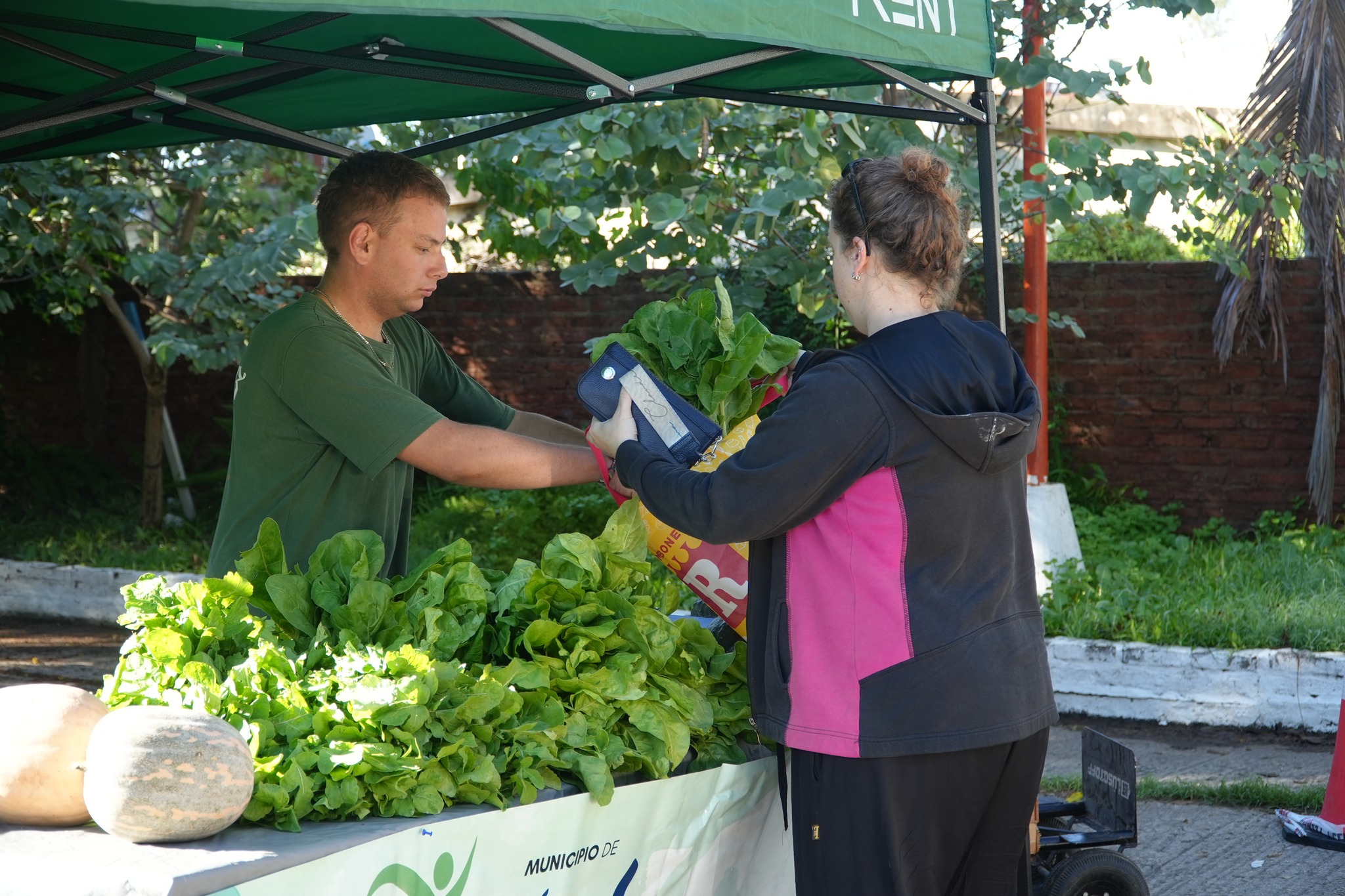Nueva venta de verduras y hortalizas agroecológicas este viernes