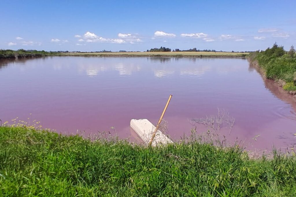 El gobierno provincial analiza el fenómeno de coloración en el arroyo Espinillo y refuerza la vigilancia ambiental en la cuenca