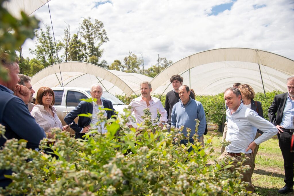 El gobernador recorrió una empresa exportadora de arándanos, cítricos dulces y frambuesas en Colonia Ayuí